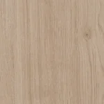 Dąb Kendal naturalny