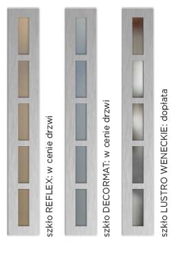 drzwi-delta-gladkie-pasek-drabinka-inox-przeszklenie drzwi-delta-gladkie-pasek-drabinka-inox-przeszklenie