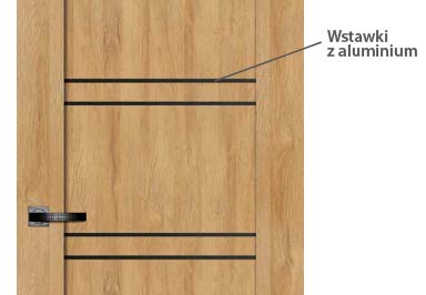 drzwi-artus-virage-wstawki-z-aluminium