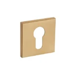 rozeta-vds-r67f-wkladka-zloty-satyna