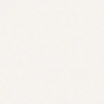 MODERN WHITE (RAL 9010)
