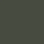 RAL 6007