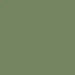 RAL 6011