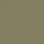 RAL 6013
