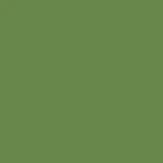 RAL 6017