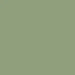 RAL 6021