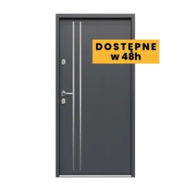 drzwi-gerda-simply-wd-tokio-2-insert-48h